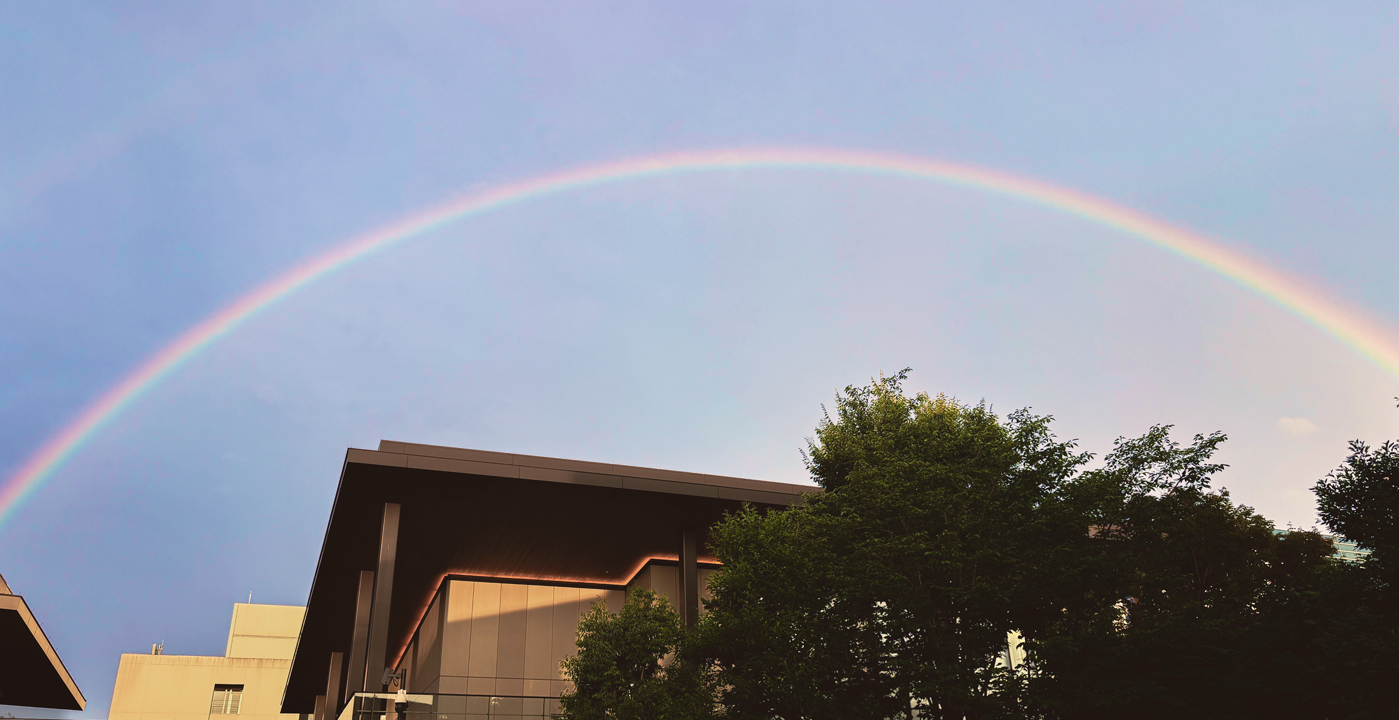 いいことありそうな虹